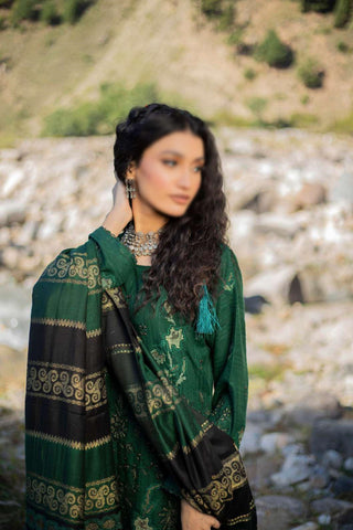 Shah Man Dhanak Zari Fancy Emb Coll:24 By Sobia Waseem D-01