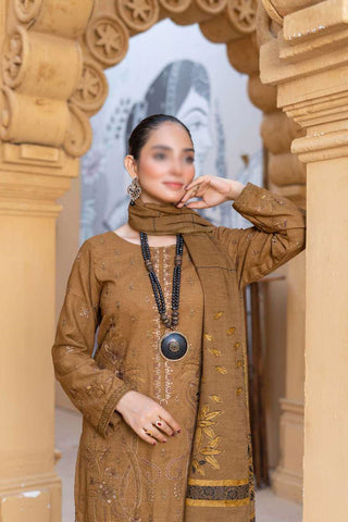 Haad E Nazar Fancy Winter Fabric With Shawl Coll:24 By Sobia Waseem D-01