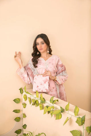 Nurcan Semi-Stitched Fancy Heavy Emb Organza D-3921
