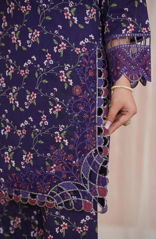 AIRA by Aizal | Festive Embroidered & Printed Lawn 2 Piece Stitched Suit D-5