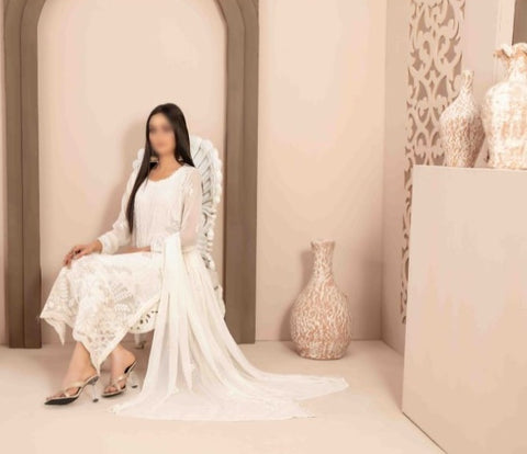 Alani Fancy Embroidered Chiffon Collection By Tawakkal D-03