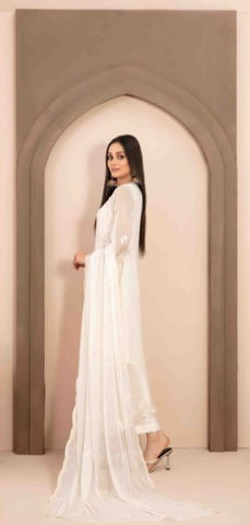 Alani Fancy Embroidered Chiffon Collection By Tawakkal D-03