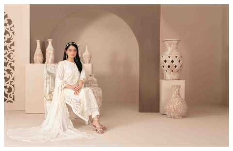 Alani Fancy Embroidered Chiffon Collection By Tawakkal D-02