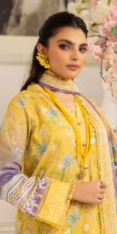 Aafreen Emb Chikankari Lawn Unstitched 3 pcs Riaz Arts 185