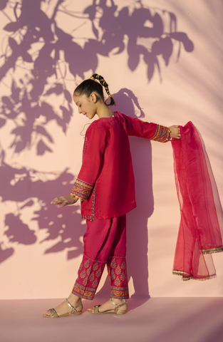 Main Hun Maryam Guriya | Embroidered Organza 3 Piece Stitched Suit D-1