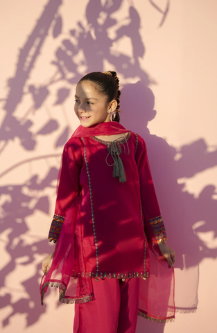 Main Hun Maryam Guriya | Embroidered Organza 3 Piece Stitched Suit D-1