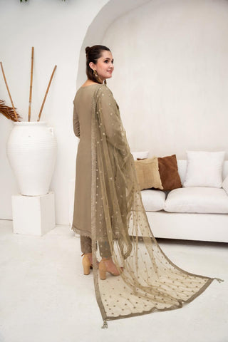 Shibrah Fancy Cotton NET Semi Stitched By Afshan Arts D-04