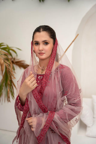 Shibrah Fancy Cotton NET Semi Stitched By Afshan Arts D-01