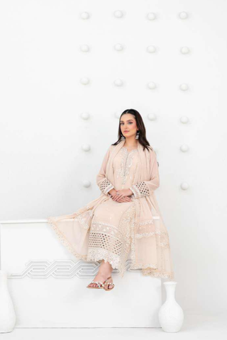 SATORI by Tawakkal Fabrics | Fancy Embroidered Chiffon 3 Piece Semi-Stitched Suit D-2
