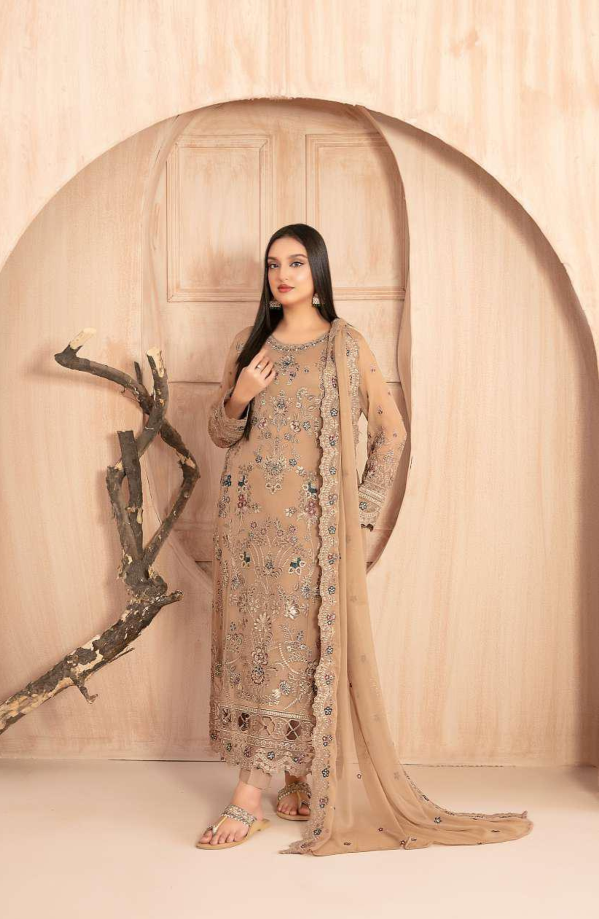Afsanay by Tawakkal Fabrics | Fancy Embroidered Chiffon 3 Piece Unstitched Suit D-3