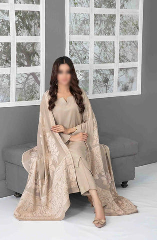 Eladari - Fancy Leather Peach Coll with Shawl Dupatta D-3858