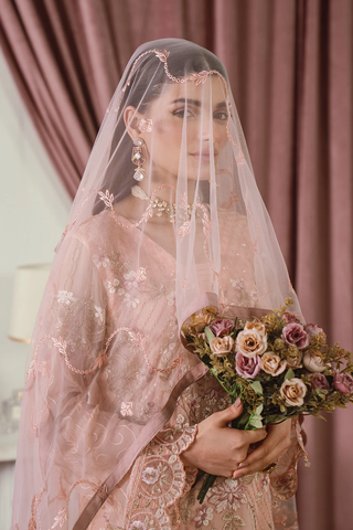Ramsha Chiffon Collection Vol-25 D-09