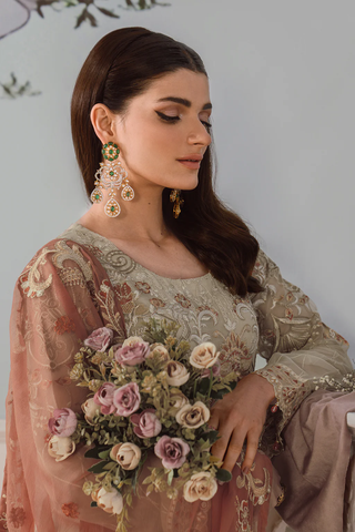 Ramsha Chiffon Collection Vol-25 D-04