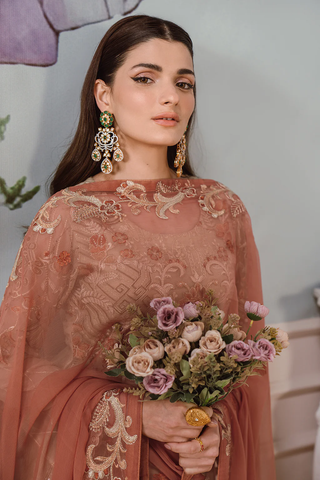 Ramsha Chiffon Collection Vol-25 D-04