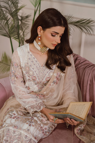 Ramsha Chiffon Collection Vol-25 D-03