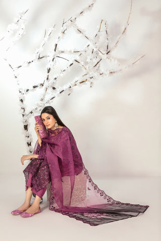 ISHQ By Tawakkal Fabrics Semi-Stitched Fancy Collection D-5