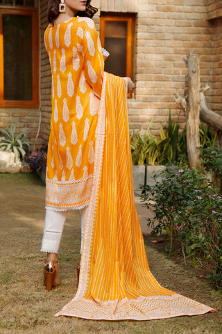 Daman Printed Cambric Collection/24 By Vs Textile D-03