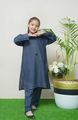 Shanzey Whimsical Winters Emb Khaddar Coll 2PCS STITCHED D-01