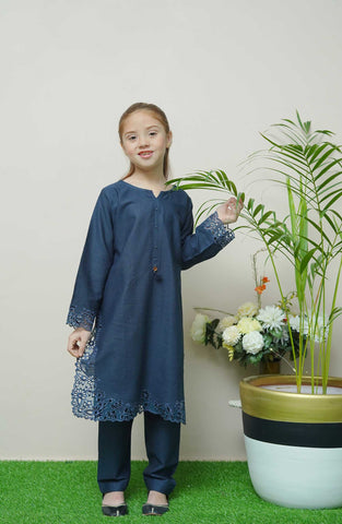 Shanzey Whimsical Winters Emb Khaddar Coll 2PCS STITCHED D-01