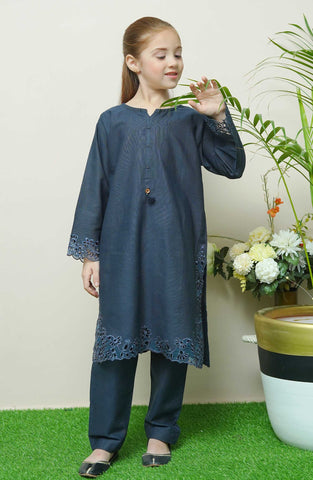 Shanzey Whimsical Winters Emb Khaddar Coll 2PCS STITCHED D-01