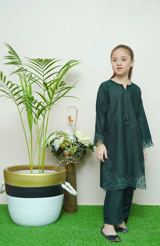 Shanzey Whimsical Winters Emb Khaddar Coll 2PCS STITCHED D-04