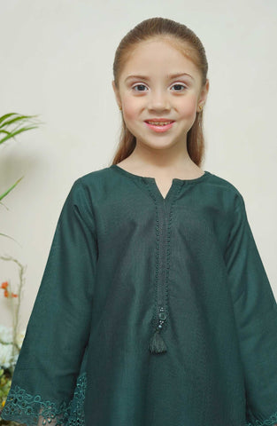 Shanzey Whimsical Winters Emb Khaddar Coll 2PCS STITCHED D-04