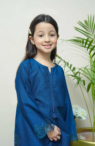 Shanzey Whimsical Winters Emb Khaddar Coll 2PCS STITCHED D-07