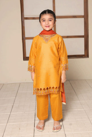 Nat Khat Guriya by Shanzey | Embroidered Cotton 3 Piece Suit D-8