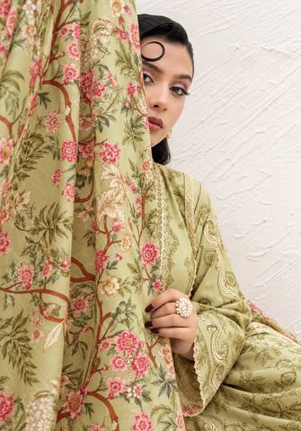 Firdous Re-sham Cotton Vol-02 | D-3