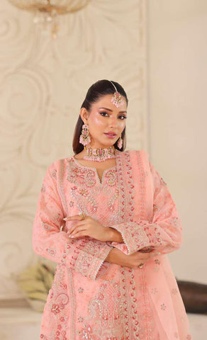 MUSHKIK | 4 Piece Semi-Stitched Embroidered Organza Collection D-2