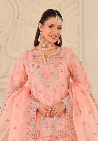 MUSHKIK | 4 Piece Semi-Stitched Embroidered Organza Collection D-2