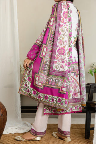 Vs Daman Digital Cambric D-13 2025