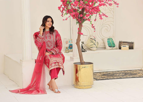 MUSHKIK | 4 Piece Semi-Stitched Embroidered Organza Collection D-3