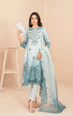 NAQSH Fancy Embroidered Organza Semi Stitched TK-02