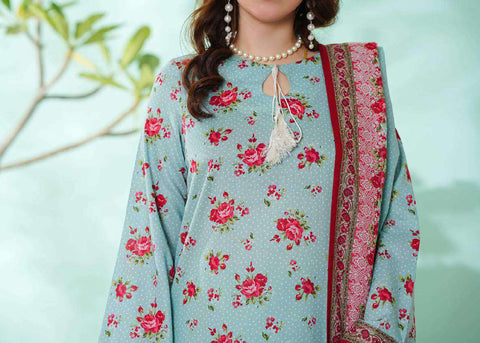 VS DAMAN Exclusive Printed Lawn Unstitched 3 Piece Suit D-3