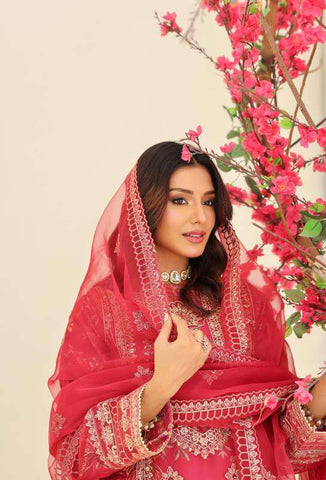 MUSHKIK | 4 Piece Semi-Stitched Embroidered Organza Collection D-3