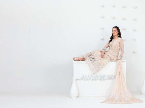 SATORI by Tawakkal Fabrics | Fancy Embroidered Chiffon 3 Piece Semi-Stitched Suit D-2