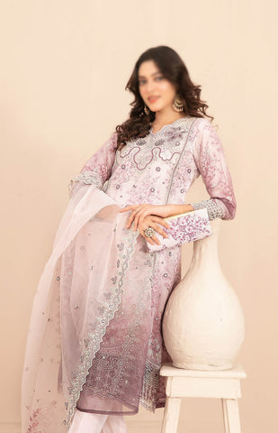 NAQSH Fancy Embroidered Organza Semi Stitched TK-05