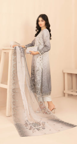 NAQSH Fancy Embroidered Organza Semi Stitched TK-06