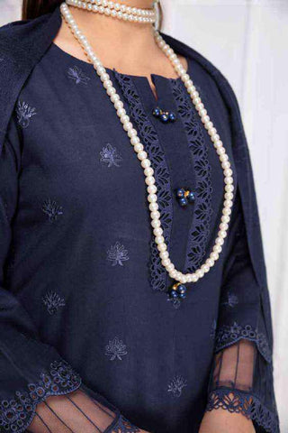 Chaap Shimmery Chikankari Embroidery By Sobia Waseem D-01