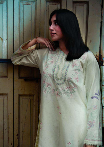 ANDAAZ 2 Piece Stitched Embroidered Textured Naps Cotton Suit D-2