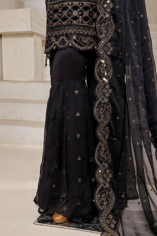 AFSANAY VOL 13 CHIFFON Collection2025 D-03 SADABAHAR