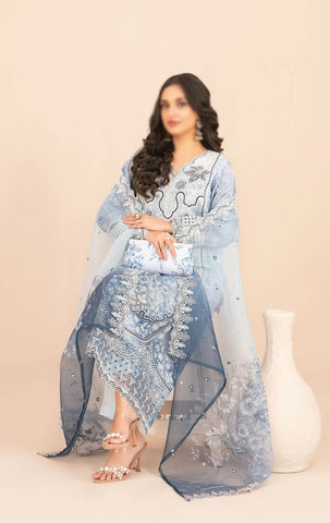 NAQSH Fancy Embroidered Organza Semi Stitched TK-07