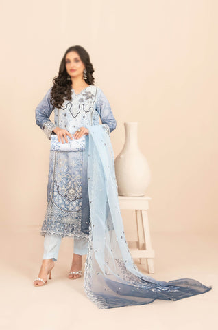 NAQSH Fancy Embroidered Organza Semi Stitched TK-07
