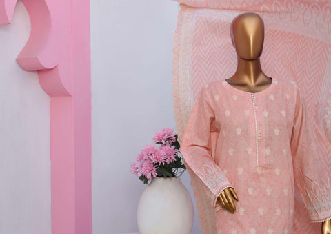 Lawnkari Premium Emb Coll25 by HZ Textiles PLK 913