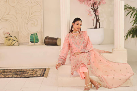 MUSHKIK | 4 Piece Semi-Stitched Embroidered Organza Collection D-2