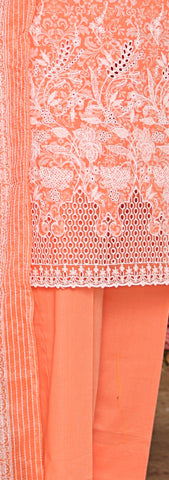Nakshkari Embroidered Collection By Hz D-02