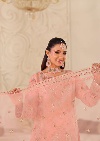MUSHKIK | 4 Piece Semi-Stitched Embroidered Organza Collection D-2